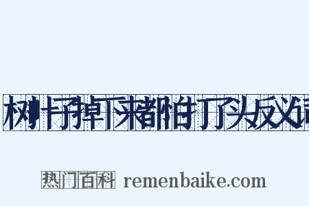 树叶子掉下来都怕打了头反义词是什么意思的图片